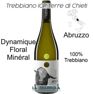 Blanc: Trebbiano d'Abruzzo IGP Terre di Chieti (Radica)